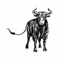 Hand drawn black bull standing portrait, front view. Ink black and white drawing. Royalty Free Stock Photo